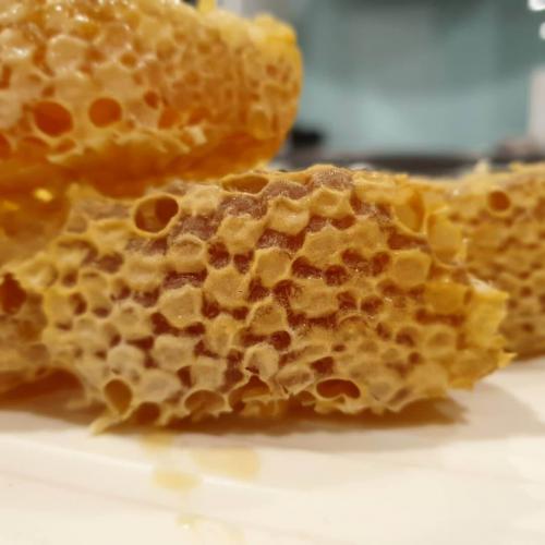 pic of fresh honey comb