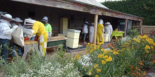 Franklin_Beekeepers_Club_Hives_03.jpg