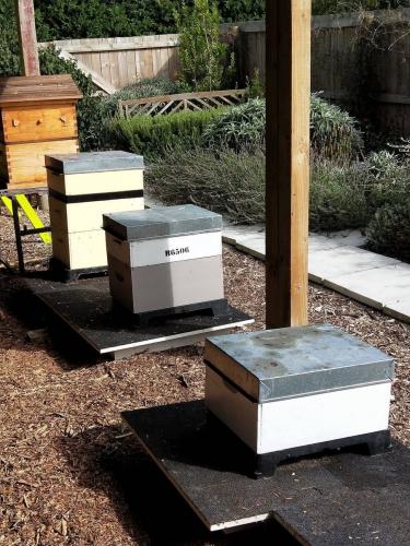 Franklin_Beekeepers_Club_Hives_07.jpg